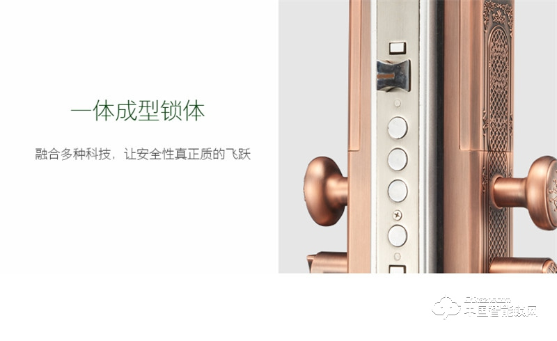  朗凯斯别墅指纹锁 L710智能锁